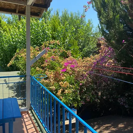 Konukevi Mila Çıralı